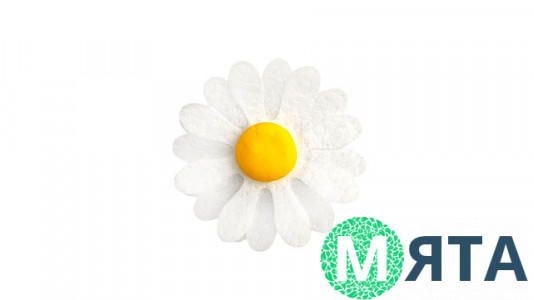 Вафельна Ромашка