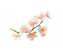 Гілочка Орхідеї з вафельного паперу
