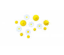 Безе з ромашками Квітковий Танець