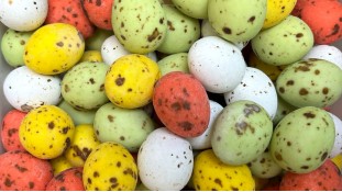 Яйця перепелині, 6 шт