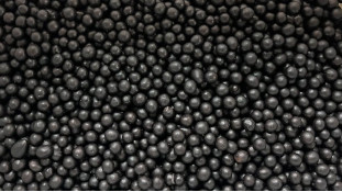 Кріспи, Чорні