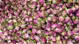 Сушені бутони троянд, Рожеві