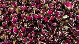 Сушені бутони троянди, Бордові