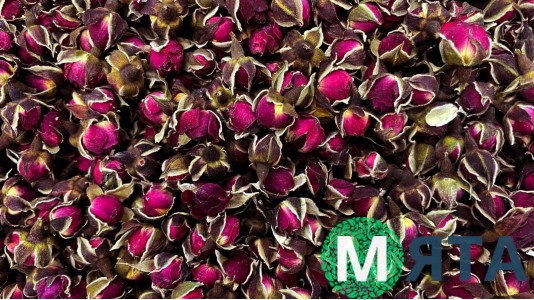 Сушені бутони троянди, Бордові