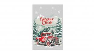 Пакет Новорічний №5, 20х30 см