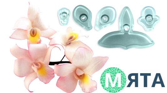 Вирубка кондитерська для Орхідеї. 5 елементів