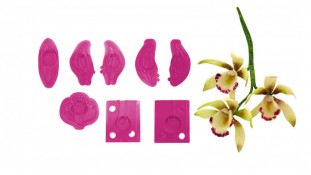 Вирубка Орхідея Цимбідіум