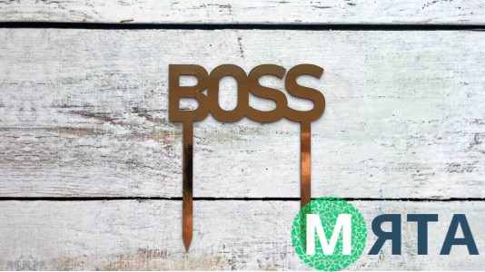 Топпер BOSS, картон