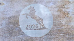 Трафарет Кінь 2026, 12 см