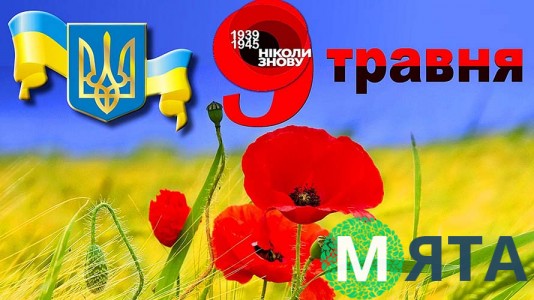 Съедобная картинка "9 мая". 1