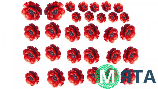 Съедобная картинка "Цветы Мак" 25