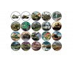 World of Tanks 5